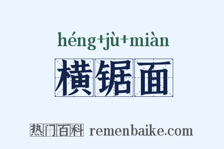 横锯面是什么意思的图片